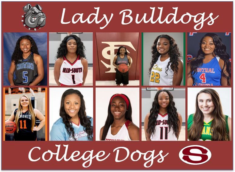 SHS Alumni Spotlight - College Dogs