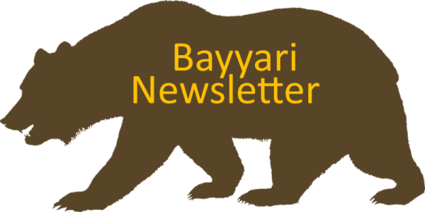 Bayyari Elementary