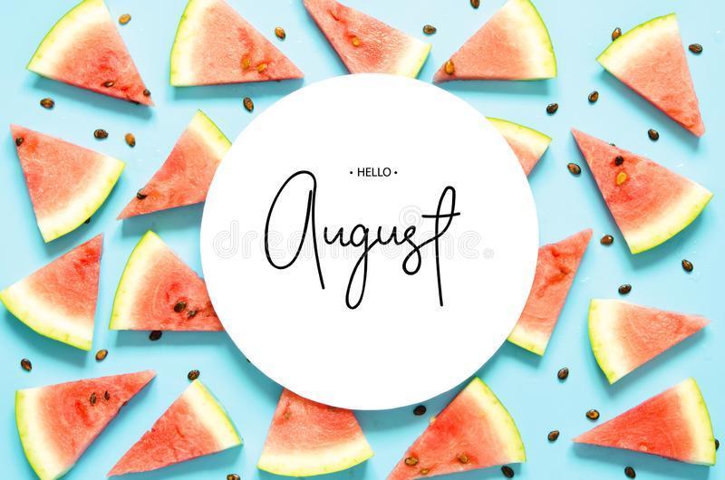 August Newsletter- Lots of updated information