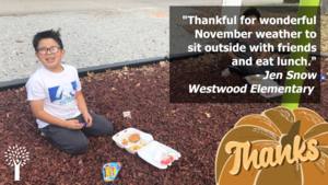 Thankfulness