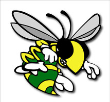 Welcome Back, Hornets!