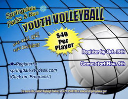 Youth Volleyball