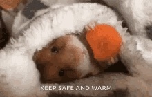 #safetyfirst