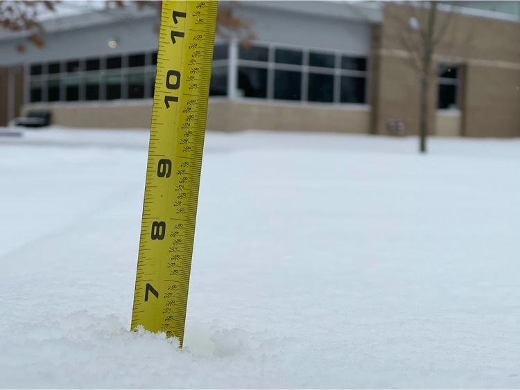Walker snow