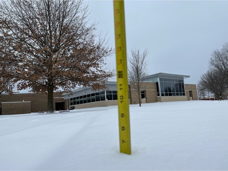 Walker snow