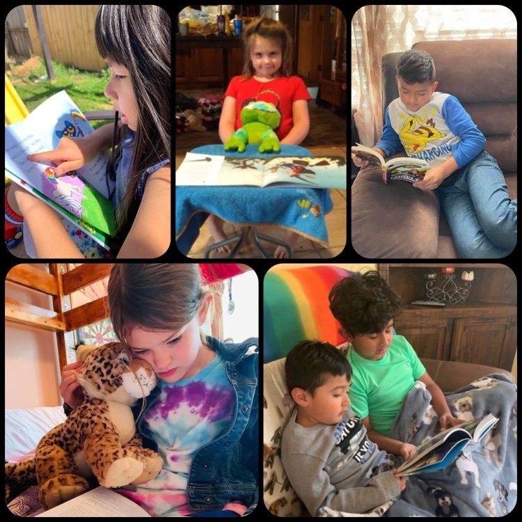 #springbreakreadingchallenge #readacrosssonora