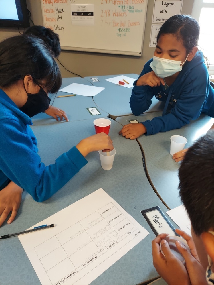 Mrs. Weingart’s 5th grade class working on mixture vs. solutions experiments 🧫🧪