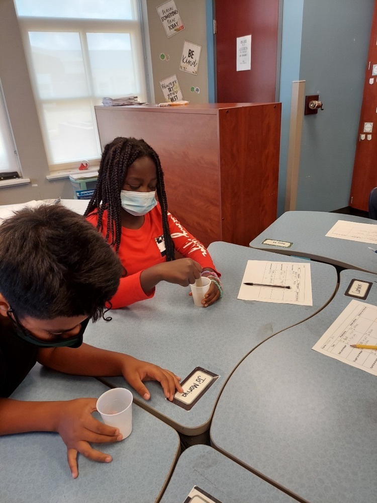Mrs. Weingart’s 5th grade class working on mixture vs. solutions experiments 🧫🧪