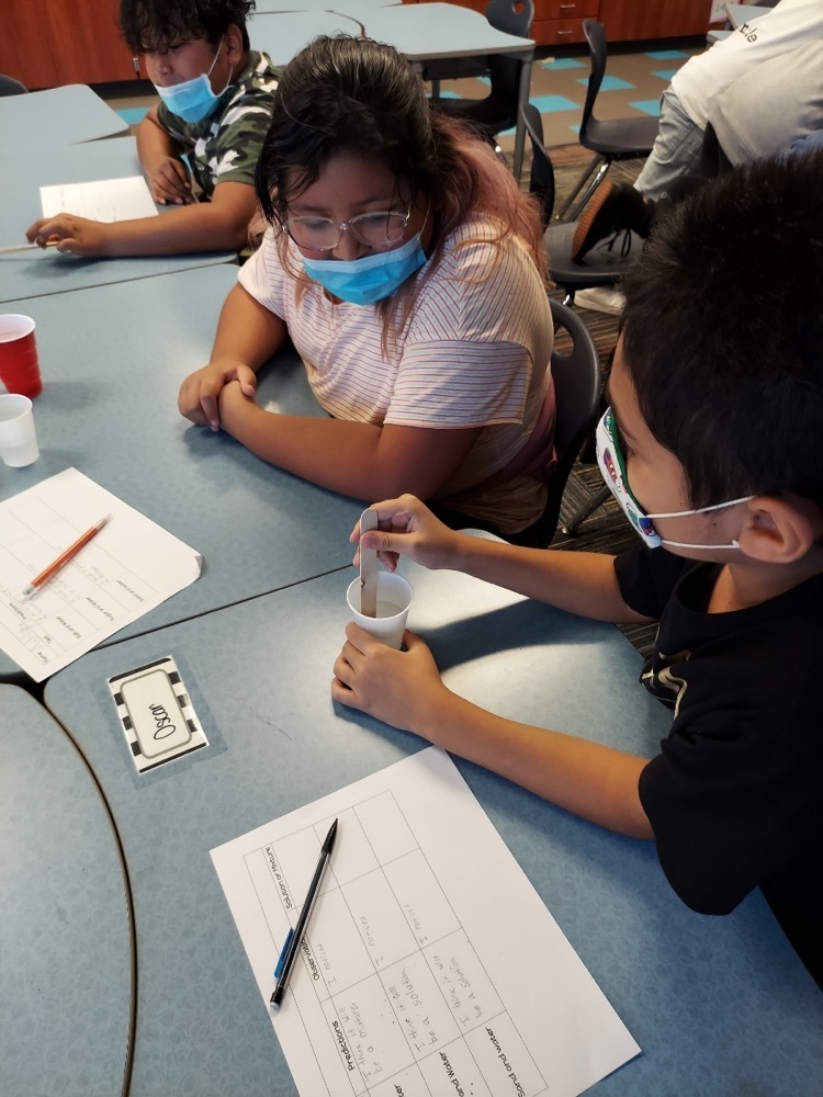 Mrs. Weingart’s 5th grade class working on mixture vs. solutions experiments 🧫🧪