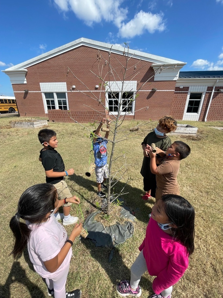 Me. Hollingsworth’s 1 graders and Mrs. Bonham’s 3rd graders worked together to make bird feeders for our garden!