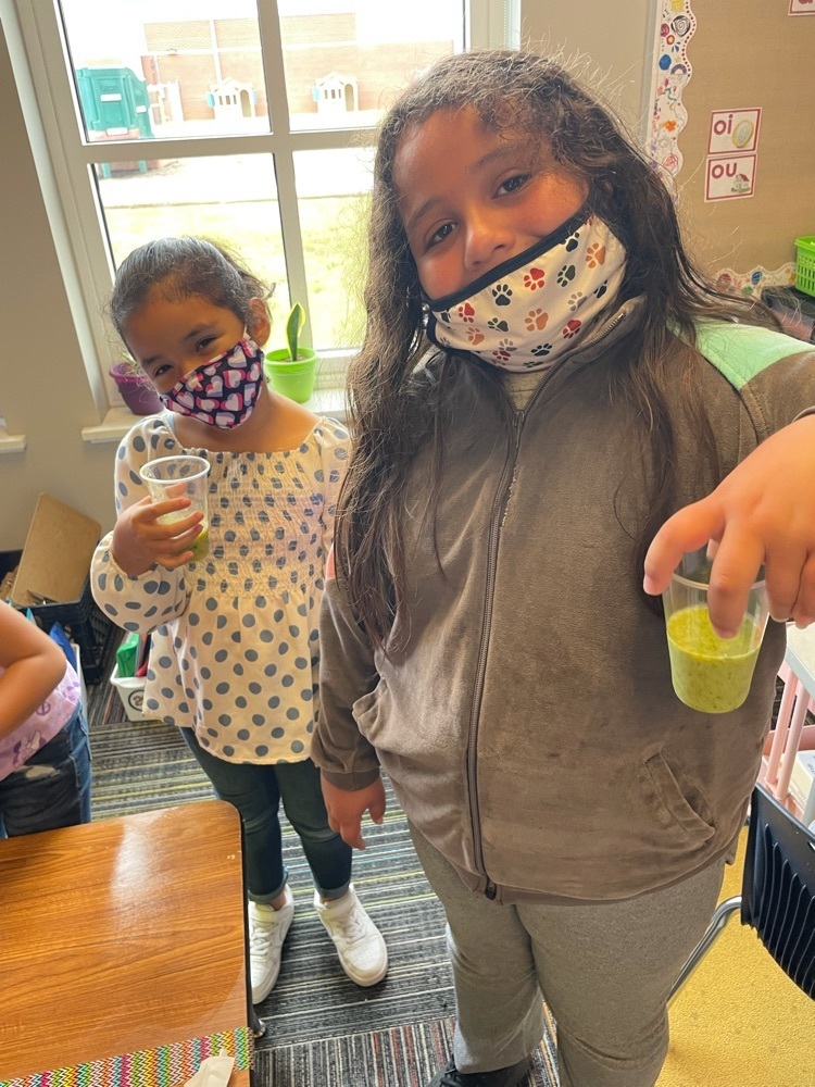 Thanks to Apple Seeds Farm and Food Corp., Ms. Hollingsworth’s first grade class and Mrs. Bonham’s third grade class, were able to learn how to make healthy, delicious smoothies.