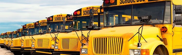 Buses