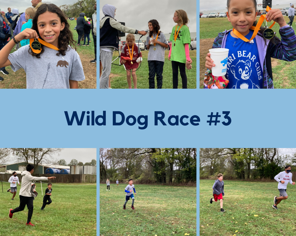 wild dog race