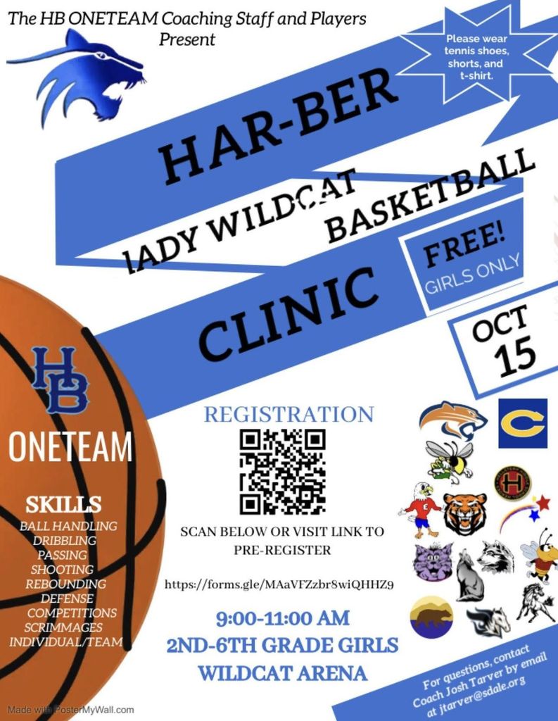 Lady Wildcat Basketball Clinic flyer