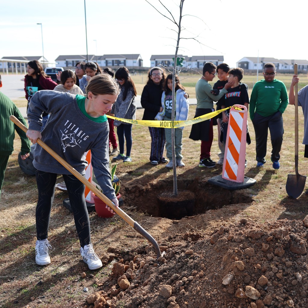 Tree Planting Knapp El.