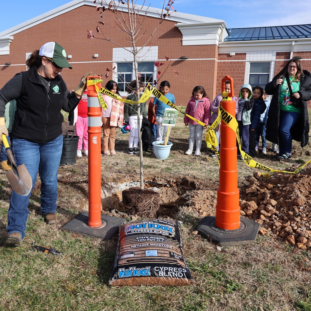 Tree Planting Knapp El.
