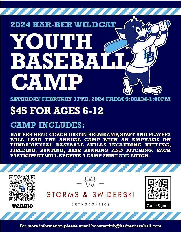 Youth Baseball Camp image